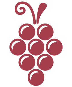 icon1